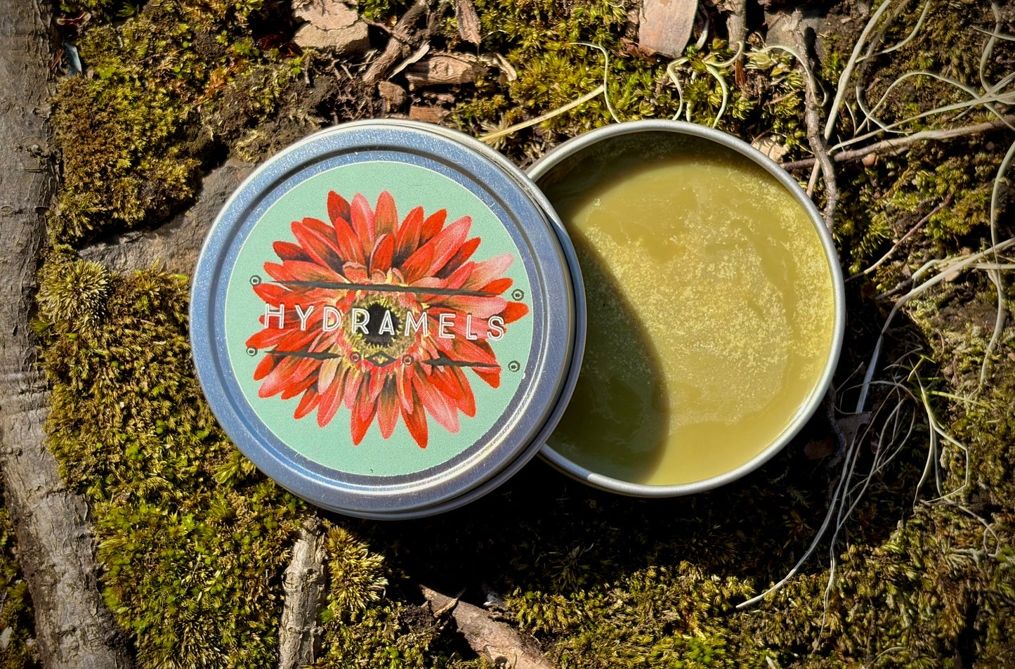 Forest Skin Face Balm